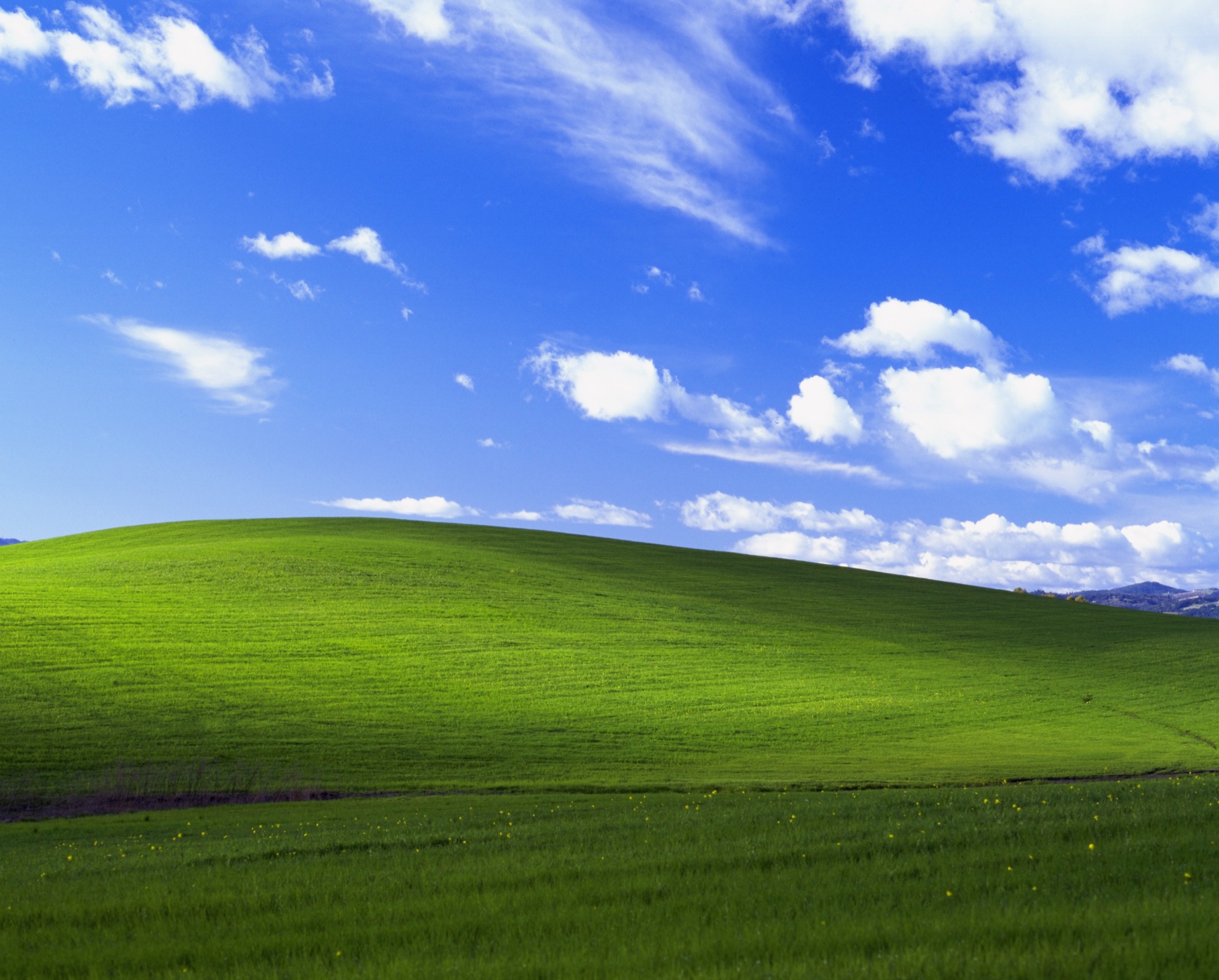 Bliss — the iconic Windows XP wallpaper